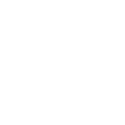 phone call